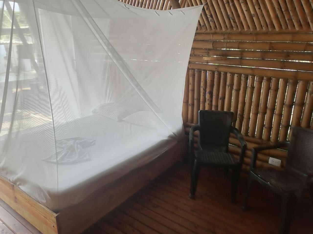Cabana Beach パロミノ エクステリア 写真