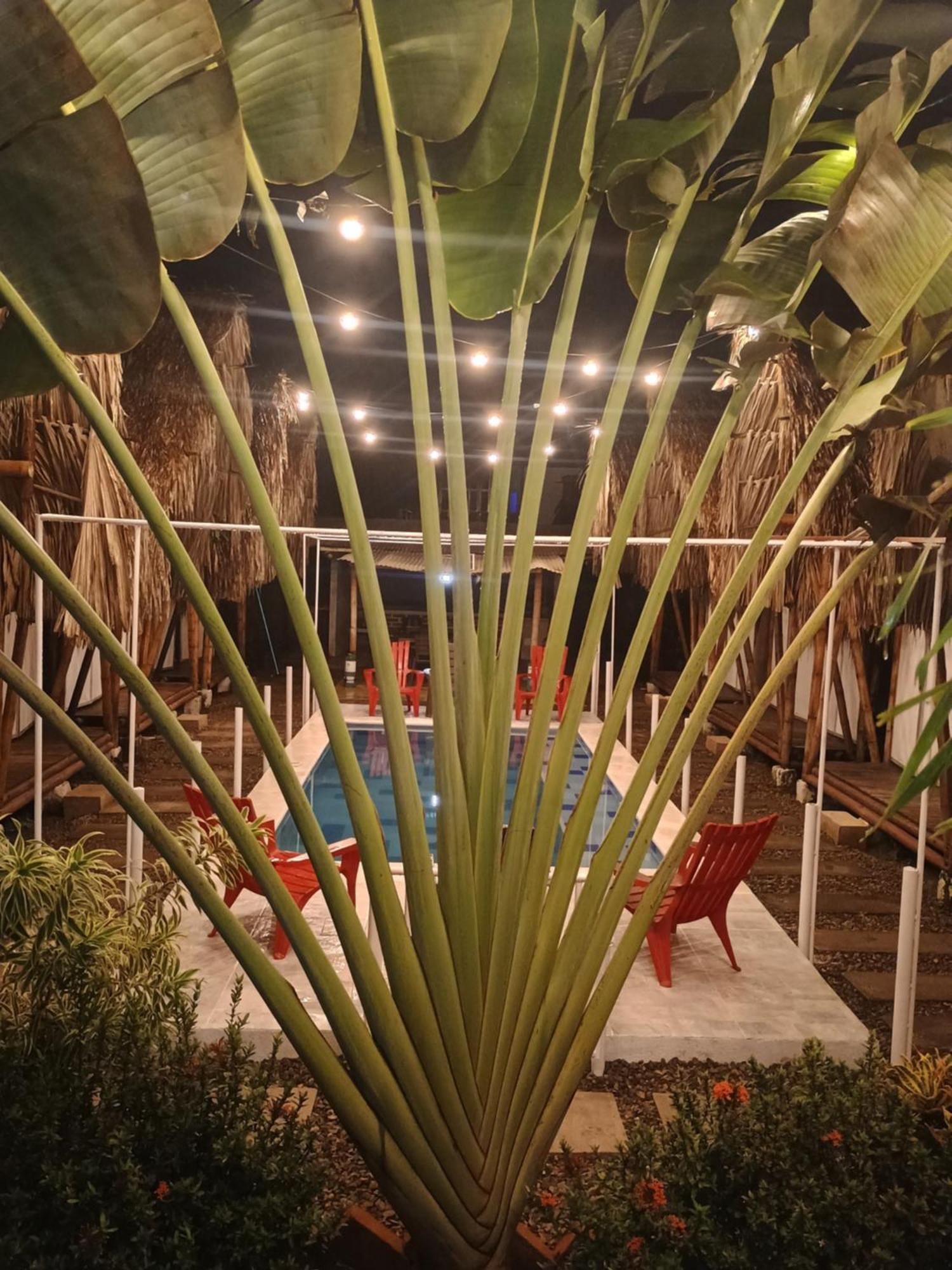 Cabana Beach パロミノ エクステリア 写真